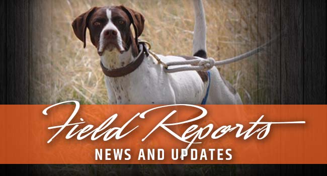 Western Wing Kennels LLC Blog