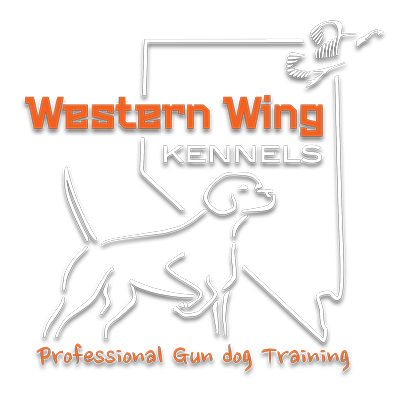 Western Wing Kennels LLC Western Wing Kennels LLC